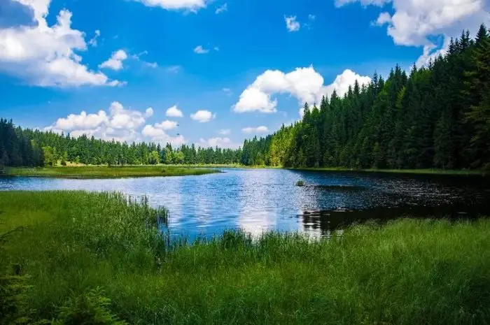 Patenggang Lake